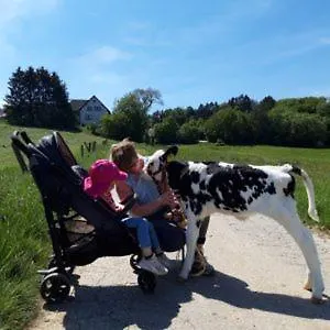 Daire Meisenthaler Muehle Kelberg