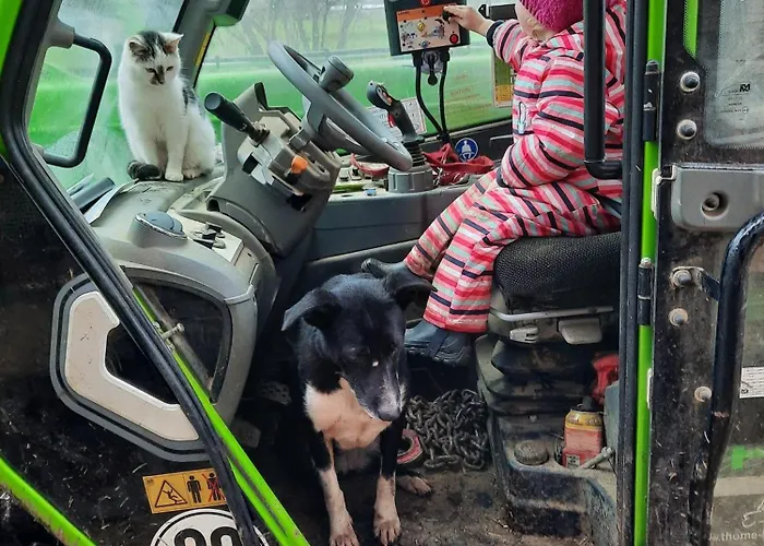 Meisenthaler Mühle *