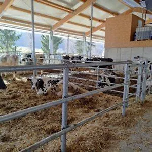 Meisenthaler Mühle Apartment Kelberg